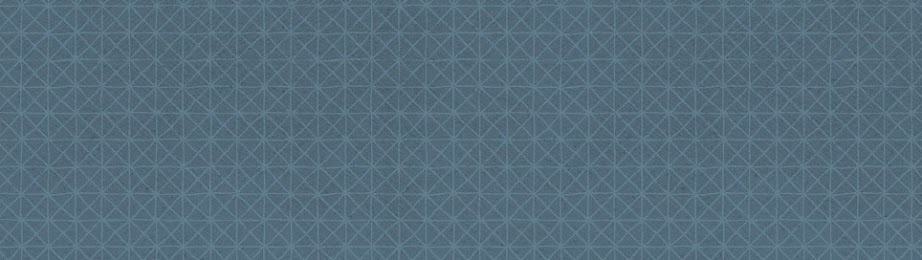 97_grid_hand_bluegrey.jpg