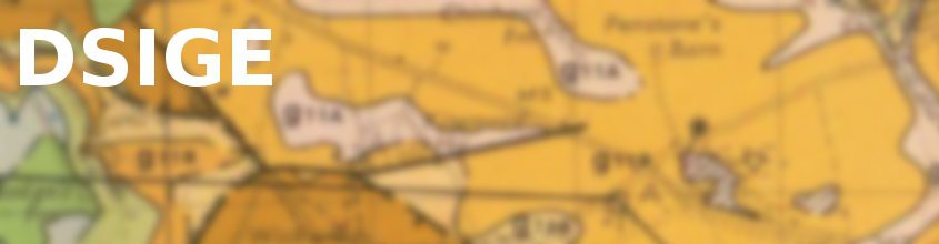 DSIGE