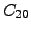 $ C_{20} $